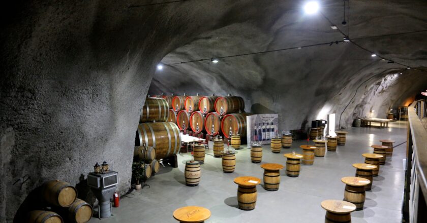 Discovering a wine cellar in a Yugoslav bunker